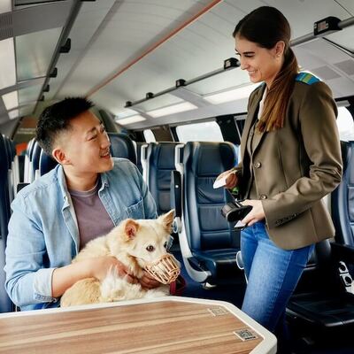 Reisen mit Hund in der WESTbahn