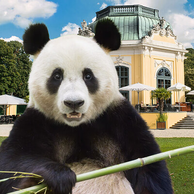 Exclusive Zoo Vienna discount for Westbahn passengers Exclusive Zoo Vienna discount for Westbahn passengers