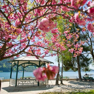 Mit der Westbahn nach Pörtschach am Wörthersee